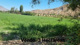 Terreno en Venta en  San Felipe, San Felipe de Aconcagua