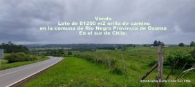 Vendo 8 hectareas a orilla de camino en la comuna de Rio Negro provincia de Osorno sur de Chile.