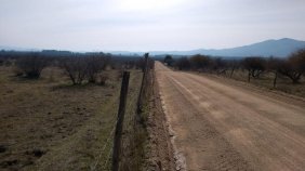 Vendo 800 ha de rulo planas