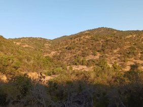 Agricola en Venta en Rauco Rauco, Curicó