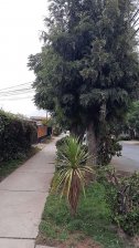 Casa en Venta en  Santiago, Santiago