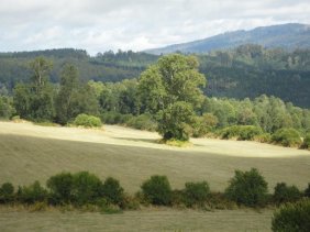 Agricola en Venta en  Los Lagos, Valdivia