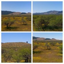 Agricola en Venta en Agricola San Javier, Linares