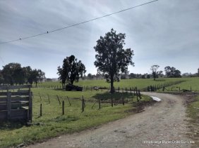 Agricola en Venta en Maullin Maullín, Llanquihue
