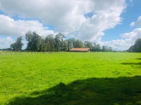 Agricola en Venta en  Puerto Octay, Osorno