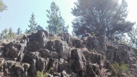 Foto Agricola en Venta en Quirihue, Ñuble - 20 hectareas - AGV96469 - BienesOnLine