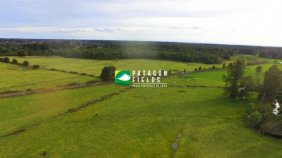 Terreno en Venta en  Puyehue, Osorno
