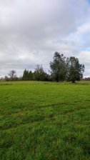 Agricola en Venta en  Osorno, Osorno