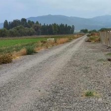 Vendo Parcela 5.000m2 ubicación Paso Los Reyes Santa Cruz 