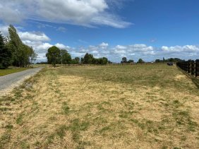 Parcela en Venta en Campo Por ruta 215 camino a Mulpulmo, Osorno