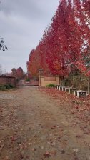 Vendo Parcela Agrado 5000 m2 10 min Linares