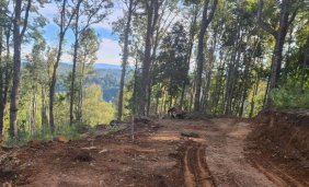 Oferta Vendo parcela de 5878 m2 muy cerca de la ciudad de Valdivia.