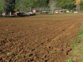 Parcela en Venta en  Curicó, Curicó