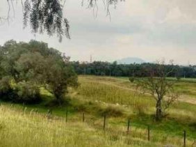Foto Parcela en Venta en Pencahue, Talca - $ 17.000.000 - PAV51674 - BienesOnLine