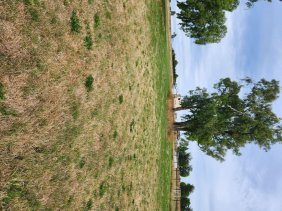 Parcela en Venta en  Sector Santa Maria, Llanquihue