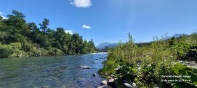 Agricola en Venta en  Futrono, Valdivia