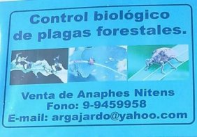 Foto Agricola en Venta en Chillán, Ñuble - AGV72827 - BienesOnLine