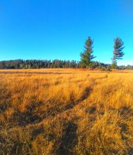 Parcela en Venta en Rural Localidad Caricuicui, Valdivia