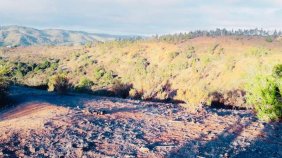 VENTA DE TERRENO EN LAS DICHAS