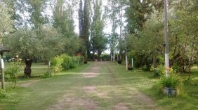 Foto Agricola en Venta en Maipú, Mendoza - Rca. Argentina, Cordillera - U$D 200.000 - AGV143356 - BienesOnLine
