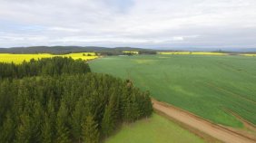 Agricola en Venta en  Galvarino, Cautin