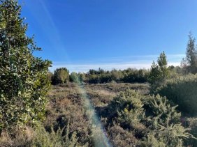 Terreno en Venta en  Puerto Montt, Llanquihue