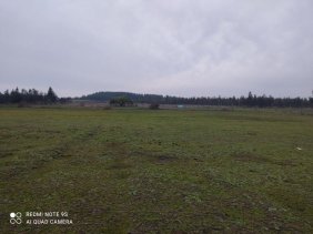 Foto Parcela en Venta en Chillán, Ñuble - $ 35.000.000 - PAV144235 - BienesOnLine