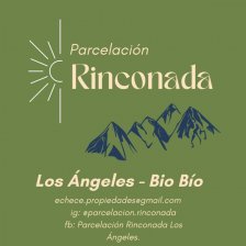 Parcela en Venta en Sector Villucura Santa Bárbara, Biobio