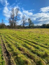 Terreno en Venta en Paraguay Frutillar, Llanquihue