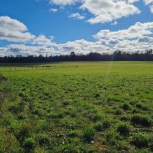 Terreno en Venta en Paraguay Frutillar, Llanquihue