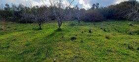Terreno en Venta en  Puerto Montt, Llanquihue