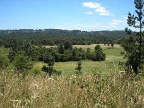 Terreno en Venta en rural Cuinco, Valdivia