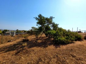 Foto Terreno en Venta en Los Pinos, Los almendros, Viña del Mar, Valparaiso - UFs 5.000 - TEV137492 - BienesOnLine