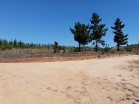 Parcela en Venta en sur poniente San Pedro de Acantara, Colchagua